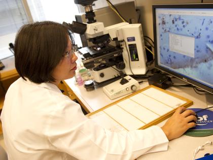 Scientist on computer